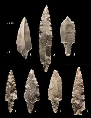 Figure 5. Complete points found on the surface in sector 1 (1–6), and a Jericho point made of fine-grained pink flint found lying directly on the flat limestone slabs paving the floor of the building (7).